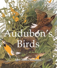 Cover Audubon's Birds