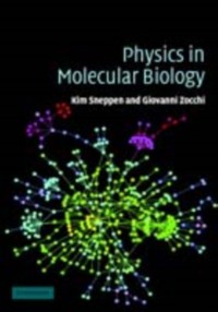 Cover Physics in Molecular Biology