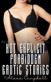 Cover Hot Explicit Forbidden Erotic Stories