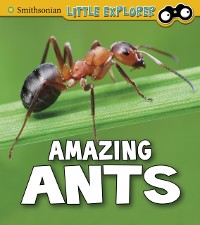 Cover Amazing Ants