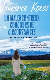 Cover Un malenconcontreux concours de circonstances (ou la chance de leur vie)