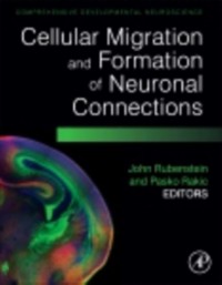 Cover Cellular Migration and Formation of Neuronal Connections