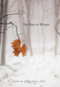 Cover Bees in Winter