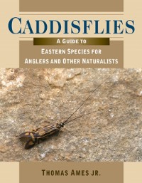 Cover Caddisflies