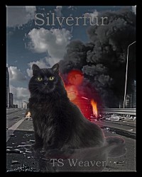 Cover Silverfur