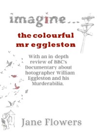 Cover Imagine The Colorful Mr. Eggleston