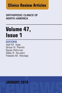 Cover Volume 47, Issue 1, An Issue of Orthopedic Clinics