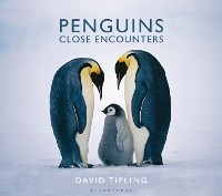 Cover Penguins