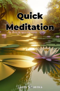 Cover Quick Meditation