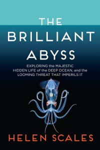 Cover Brilliant Abyss