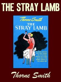 Cover The Stray Lamb