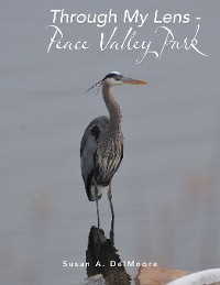 Cover Through My Lens - Peace Valley Park