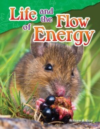 Cover Life and the Flow of Energy