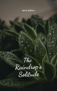 Cover The Raindrop's Solitude