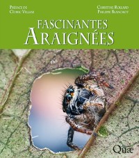 Cover Fascinantes araignees