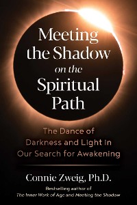Cover Meeting the Shadow on the Spiritual Path