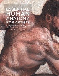 Cover Essential Human Anatomy for Artists