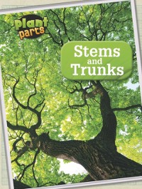 Cover Stems and Trunks