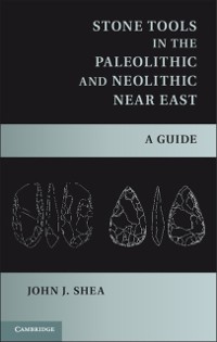 Cover Stone Tools in the Paleolithic and Neolithic Near East