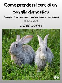 Cover Come Prendersi Cura Di Un Coniglio Domestico