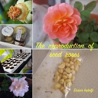 Cover The reproduction of seed roses
