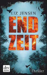 Cover Endzeit