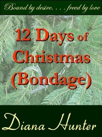 Cover 12 Days of Christmas Bondage