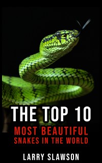Cover The Top 10 Most Beautiful Snakes in the World