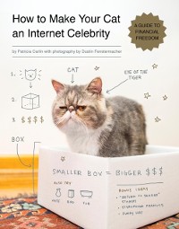 Cover How to Make Your Cat an Internet Celebrity