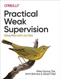 Cover Practical Weak Supervision