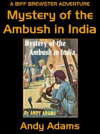 Cover Mystery of the Ambush in India