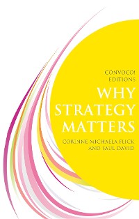 Cover Why Strategy Matters