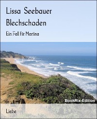 Cover Blechschaden