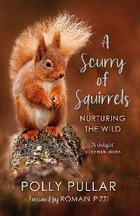 Cover A Scurry of Squirrels