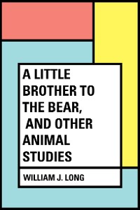 Cover A Little Brother to the Bear, and other Animal Studies