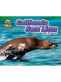 Cover California Sea Lion