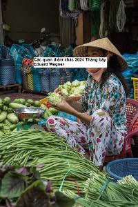 Cover Các quan điểm khác