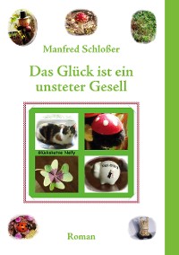 Cover Das Glück ist ein unsteter Gesell