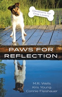 Cover Paws for Reflection