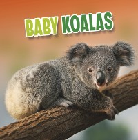 Cover Baby Koalas