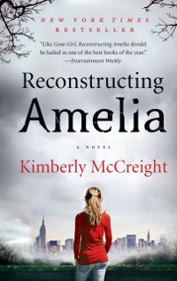 Cover Reconstructing Amelia