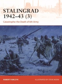 Cover Stalingrad 1942 43 (3)