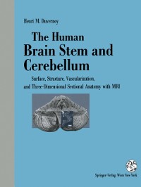 Cover Human Brain Stem and Cerebellum