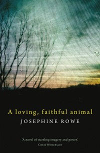 Cover Loving, Faithful Animal
