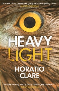 Cover Heavy Light : A Journey Through Madness, Mania and Healing