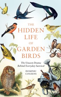 Cover Hidden Life of Garden Birds
