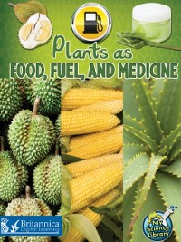 Cover Plants as Food, Fuel, and Medicine