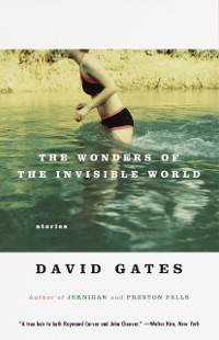 Cover Wonders of the Invisible World