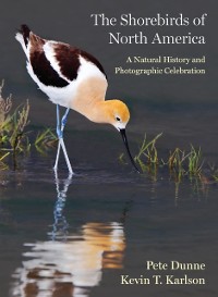 Cover Shorebirds of North America