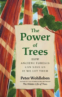Cover The Power of Trees